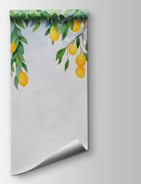 Fototapeta Citron ze stromu, Akvarelové fototapety, Populární fototapety, u97593 - Tapeko.co.cz