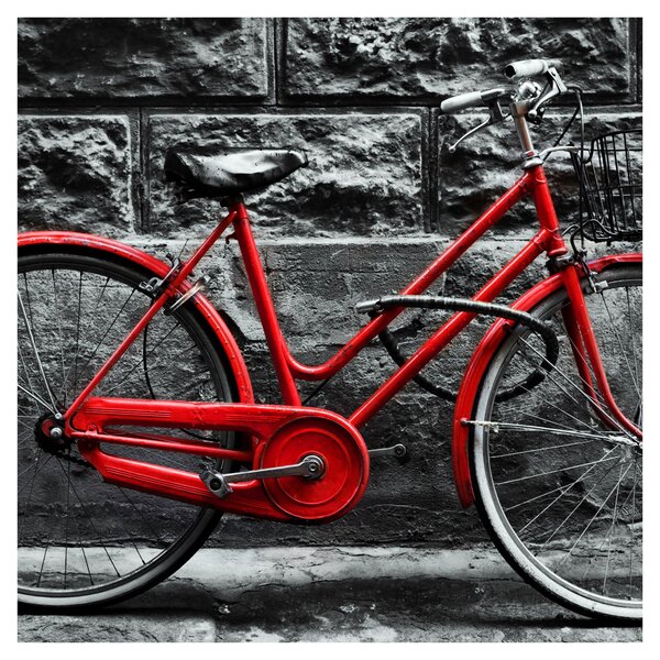 Obraz - Historický bicykl (30x30 cm)
