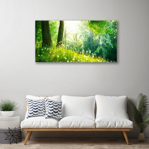 Obraz na plátně Louka Příroda Rostlina 120x60 cm