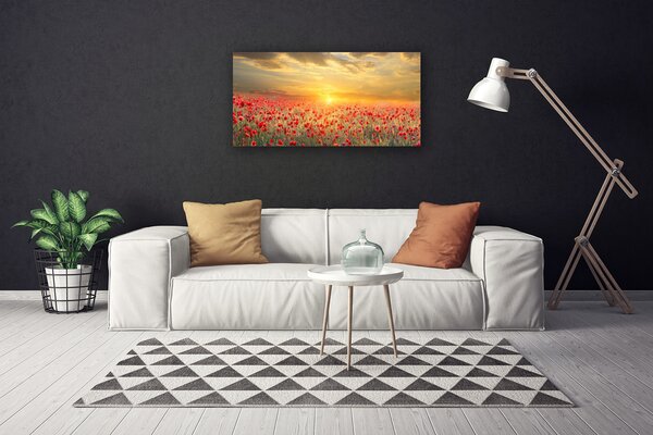 Obraz na plátně Slunce Louka Mák Květiny 100x50 cm