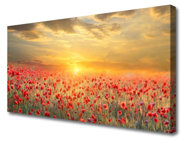 Obraz na plátně Slunce Louka Mák Květiny 100x50 cm