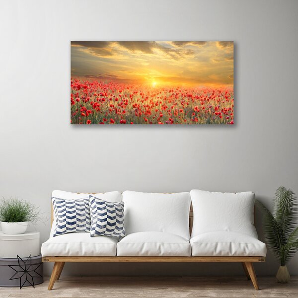 Obraz na plátně Slunce Louka Mák Květiny 100x50 cm