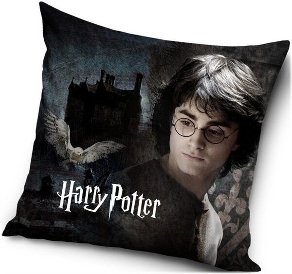 Polštář Harry Potter - 40 x 40 cm