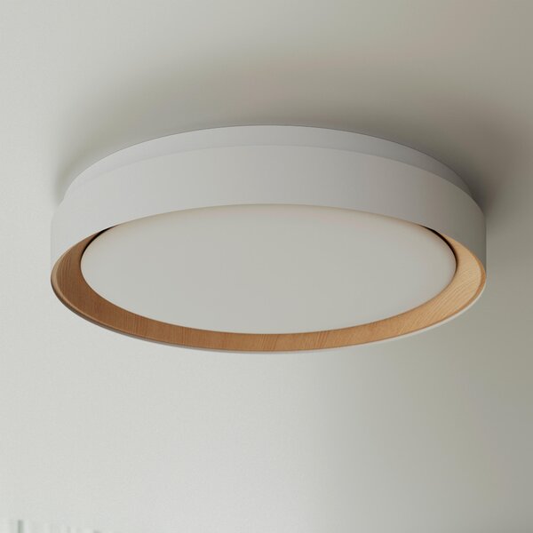 STROPNÍ LED SVÍTIDLO, 48/8 cm Novel - Stropní svítidla