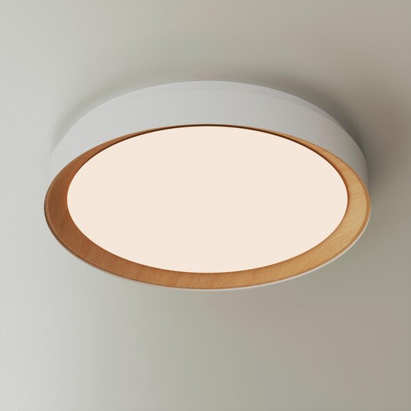 STROPNÍ LED SVÍTIDLO, 48/8 cm Novel - Stropní svítidla