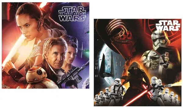 Oboustranný polštář Star Wars - Hvězdné války - motiv The Force Awakens - 40 x 40 cm
