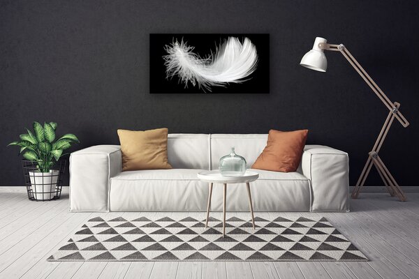 Obraz na plátně Pírko umění 100x50 cm