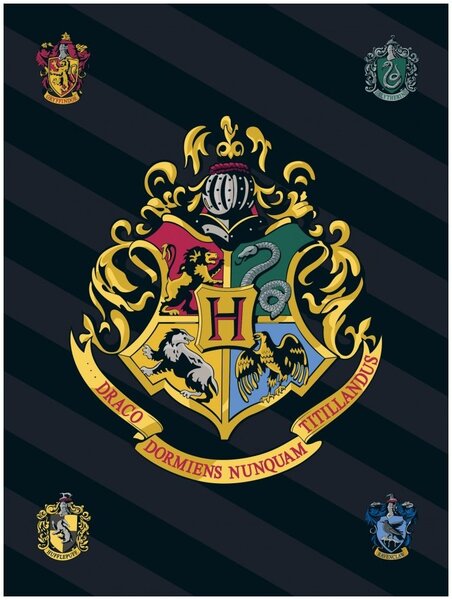 Fleecová deka Harry Potter s erbem čarodějnické školy v Bradavicích