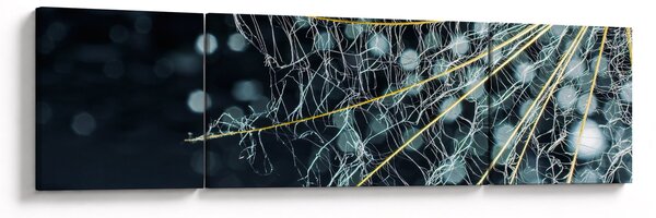 Obraz -Květ s pavučinou (170x50 cm)