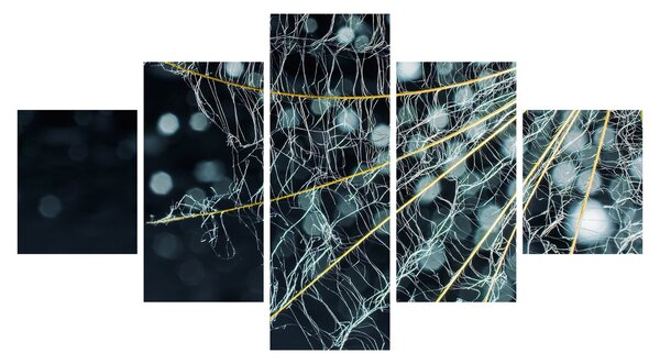 Obraz -Květ s pavučinou (125x70 cm)