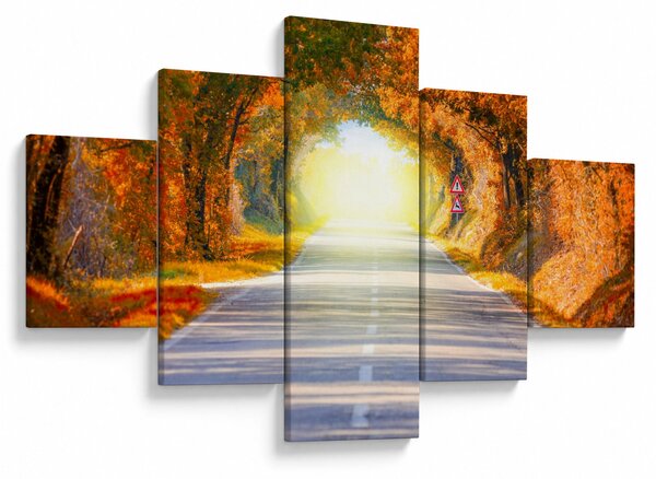 Obraz - Brána z korun stromů (125x70 cm)