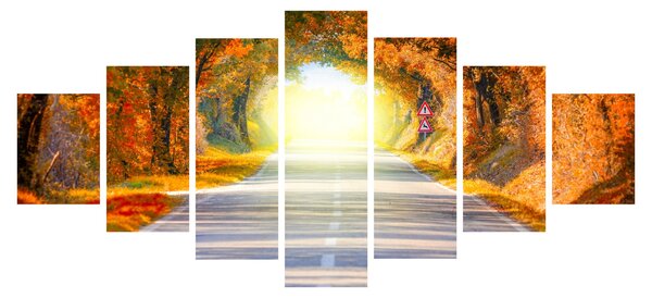 Obraz - Brána z korun stromů (210x100 cm)