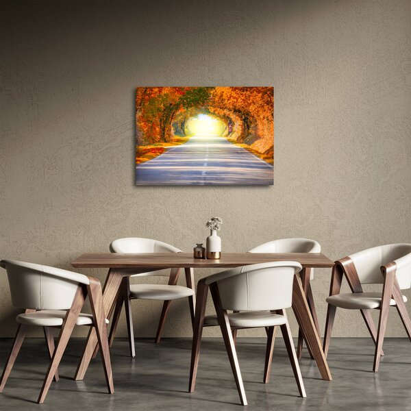 Obraz - Brána z korun stromů (70x50 cm)