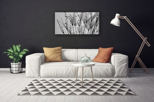 Obraz na plátně Pampeliška Rostlina 100x50 cm