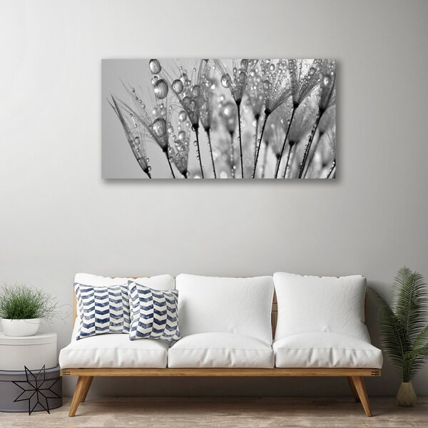 Obraz na plátně Pampeliška Rostlina 100x50 cm