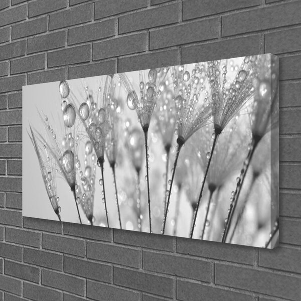 Obraz na plátně Pampeliška Rostlina 100x50 cm