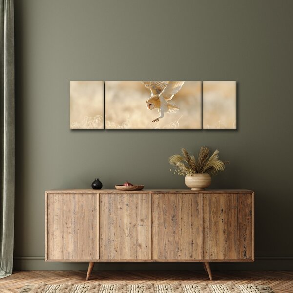 Obraz - Sova pálená (170x50 cm)