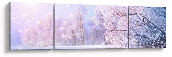 Obraz - Mrazivá zima (170x50 cm)
