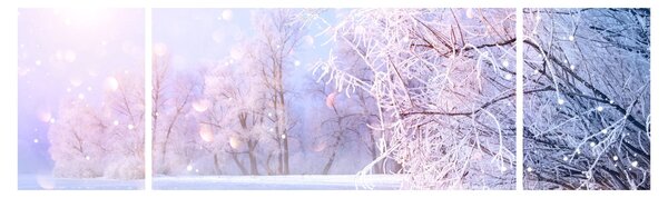 Obraz - Mrazivá zima (170x50 cm)