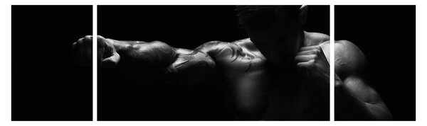 Obraz - Úder pěstí (170x50 cm)