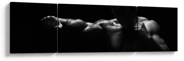 Obraz - Úder pěstí (170x50 cm)