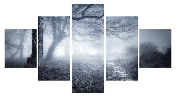 Obraz - Cesta v mlze (125x70 cm)