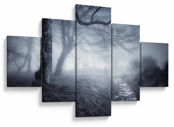 Obraz - Cesta v mlze (125x70 cm)