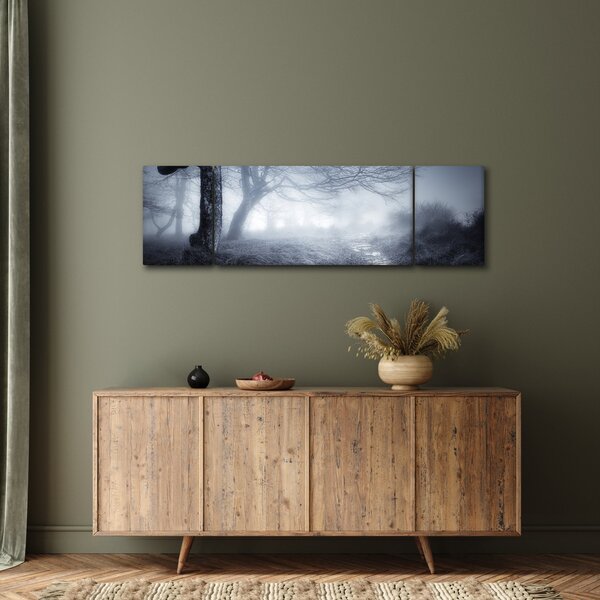 Obraz - Cesta v mlze (170x50 cm)