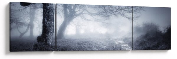 Obraz - Cesta v mlze (170x50 cm)