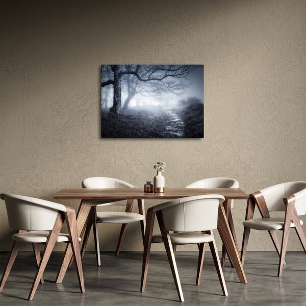 Obraz - Cesta v mlze (70x50 cm)