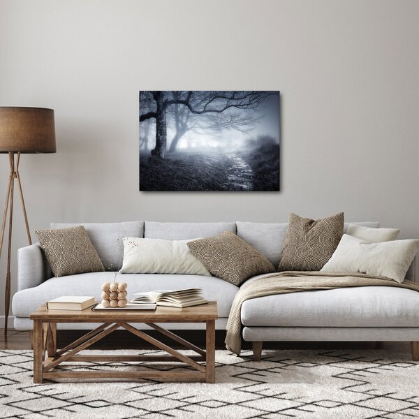 Obraz - Cesta v mlze (70x50 cm)