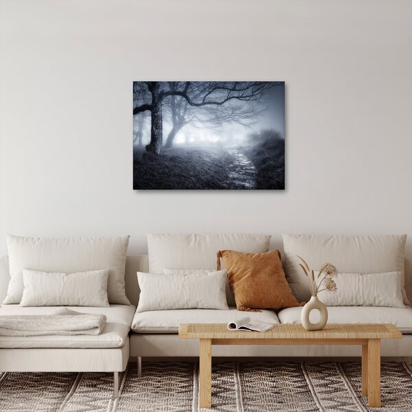 Obraz - Cesta v mlze (70x50 cm)