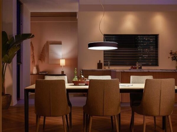 41162/30/P6 Hue WA Enrave závěsné LED svítidlo 1x33,5W 4300lm 2200-6500K IP20 42,5cm černá + ovladač