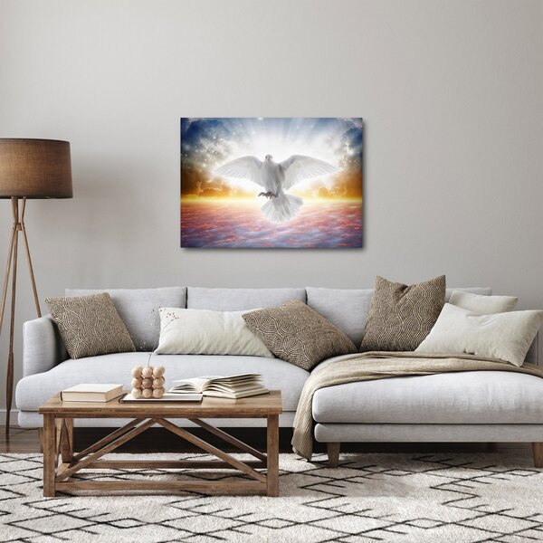 Obraz holubice (70x50 cm)