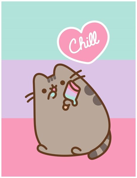 Coral fleece deka kočička Pusheen - motiv Chill - 130 × 170 cm