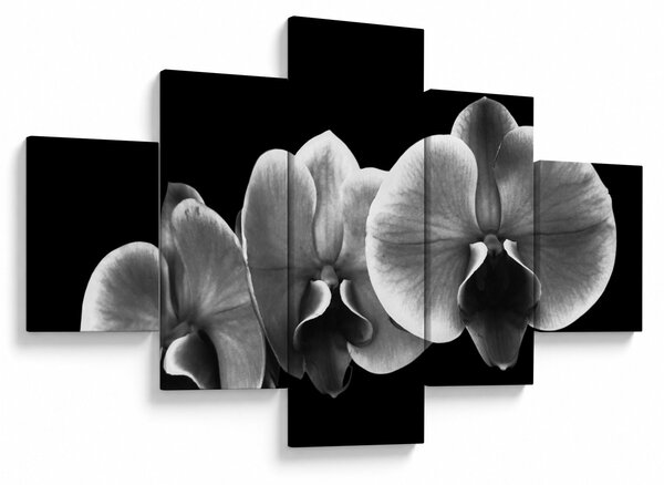 Obraz květu orchideje (125x70 cm)