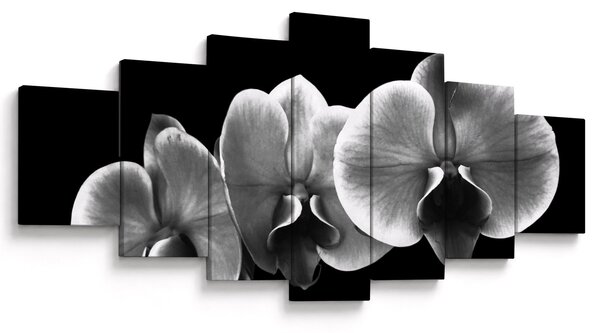 Obraz květu orchideje (210x100 cm)