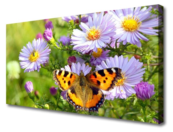 Obraz na plátně Květiny Motýl Příroda 120x60 cm