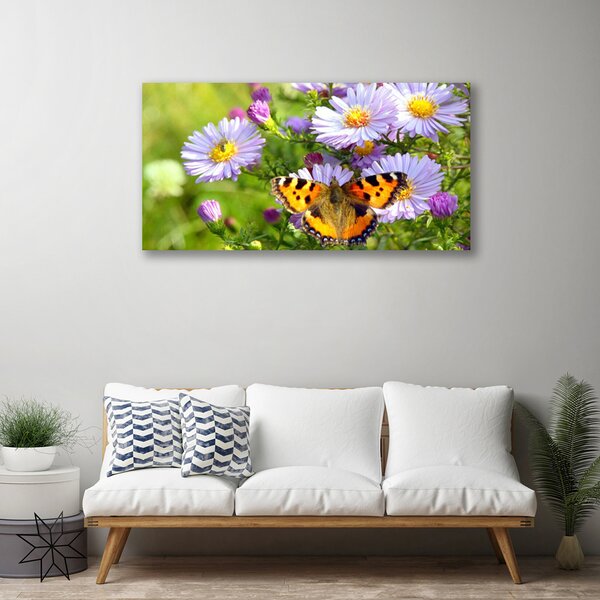 Obraz na plátně Květiny Motýl Příroda 100x50 cm
