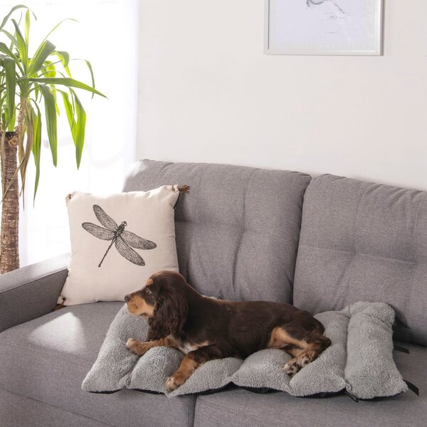 Černá deka pro psa s beránkem 50x80 cm – Love Story