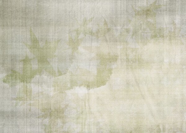 Fototapety na míru, Plátno s jemnými listy, 10255, Vavex