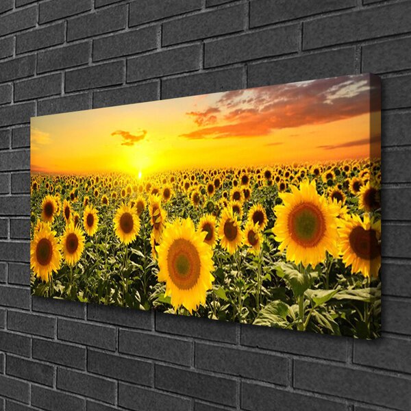 Obraz na plátně Slunečnice 120x60 cm