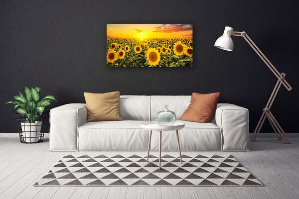 Obraz na plátně Slunečnice 120x60 cm