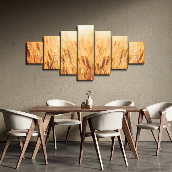 Obraz - pole s obilím (210x100 cm)