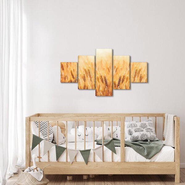 Obraz - pole s obilím (125x70 cm)