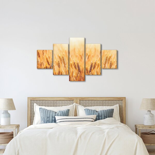 Obraz - pole s obilím (125x70 cm)
