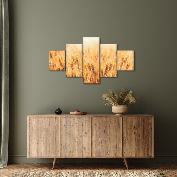 Obraz - pole s obilím (125x70 cm)
