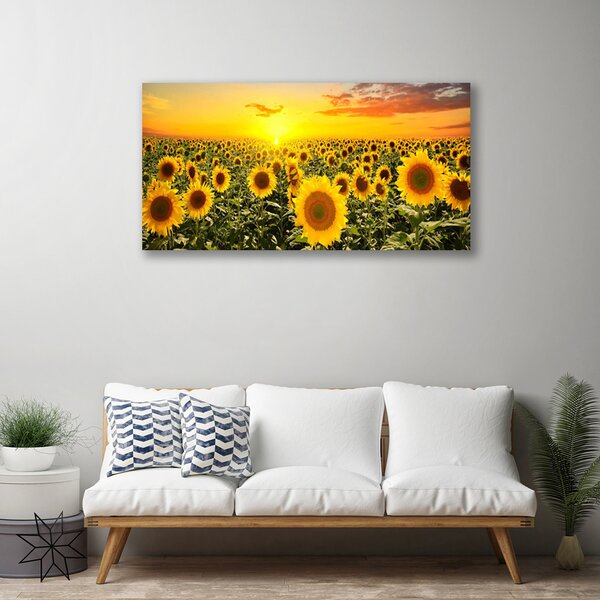 Obraz na plátně Slunečnice 120x60 cm