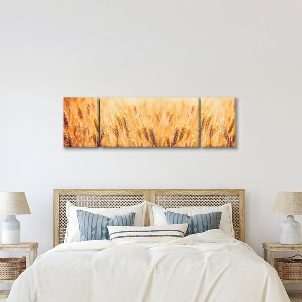 Obraz - pole s obilím (170x50 cm)