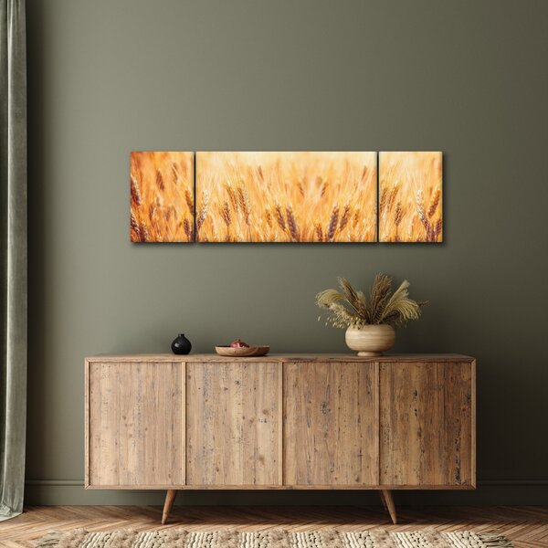 Obraz - pole s obilím (170x50 cm)